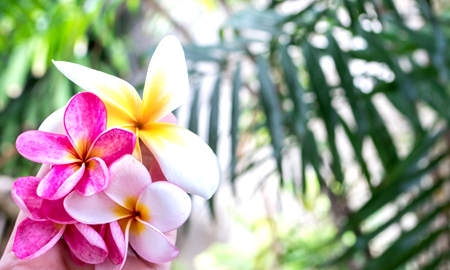 佛土世界多么幸福啊，你想进入吗？