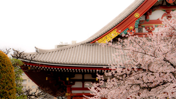 佛弟子该如何理解“认预言地球定年大难”