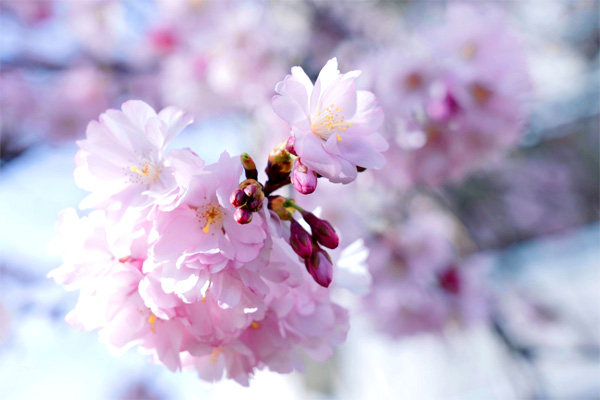 真实不虚，我在学佛中破了大师“神算”预言-图片1
