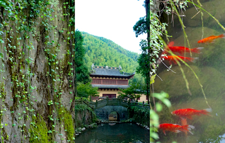 “三界无安，犹如火宅”我们没有片刻的时间去蹉跎