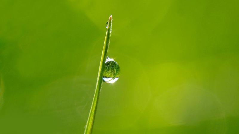 佛法，让曾经痛苦、彷徨的我，找到回家的路