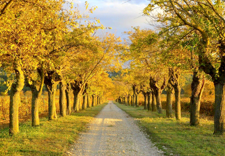 我这一生历经坎坷，晚年终得通往幸福的机会……