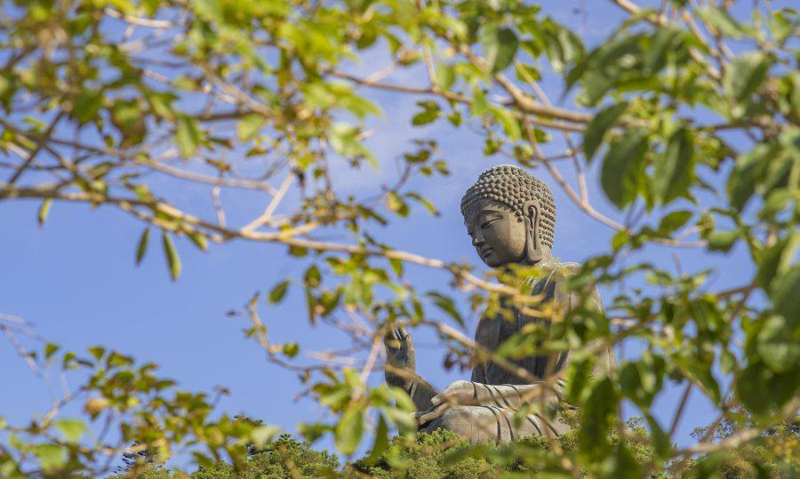 您，尚在寻找人生真谛，还是已经迈向菩提之路？