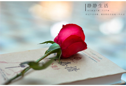 世人常说眼见为实，谁敢说看到的就是事实？