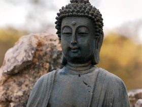 「佛门观察」说说神通（三）：什么是佛法的神通？