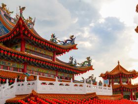 南无第三世多杰羌佛说法 我在控制你们吗？我为了什么？