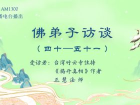 佛弟子访谈(四十至五十一)正慧法师