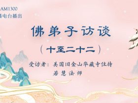 佛弟子访谈 (十 —— 二十二)旧金山华藏寺住持 若 慧 法 师