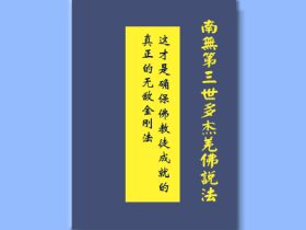 这才是确保佛教徒成就的真正的无敌金刚法