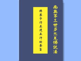世界佛教教皇南无羌佛为高僧大德们说法  佛弟子行正道正行的要旨