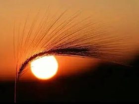 身处逆境,山穷水尽时,你能“潜龙勿用”吗?