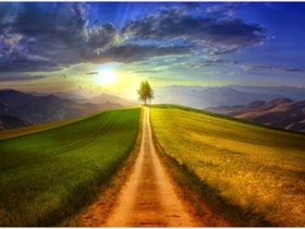 如此行径,还敢说自己在学佛修行吗?