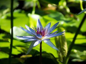 学佛人怎样才能不被“释永信”们所迷惑？