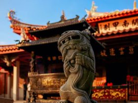 面临选择时，重要的是看什么?