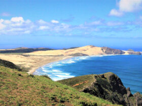 学佛修行如何行持才不上魔的当呢