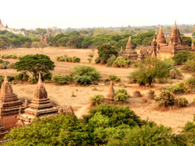 心灵上的高尚,精神的愉悦胜过外表的绚丽