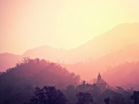 对学佛者来说，什么叫作外道？学佛者如何鉴别外道和邪教