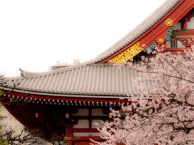 佛弟子该如何理解“认预言地球定年大难”